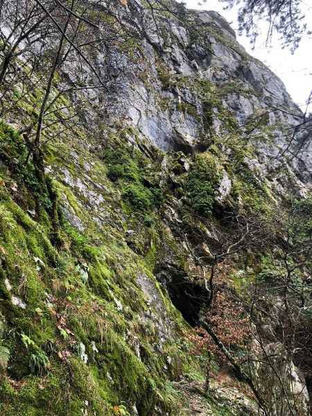 Alman Bilim İnsanı Sintenis’in Kaz Dağları’nda Yaşadığı Mağara Turizme Açılacak