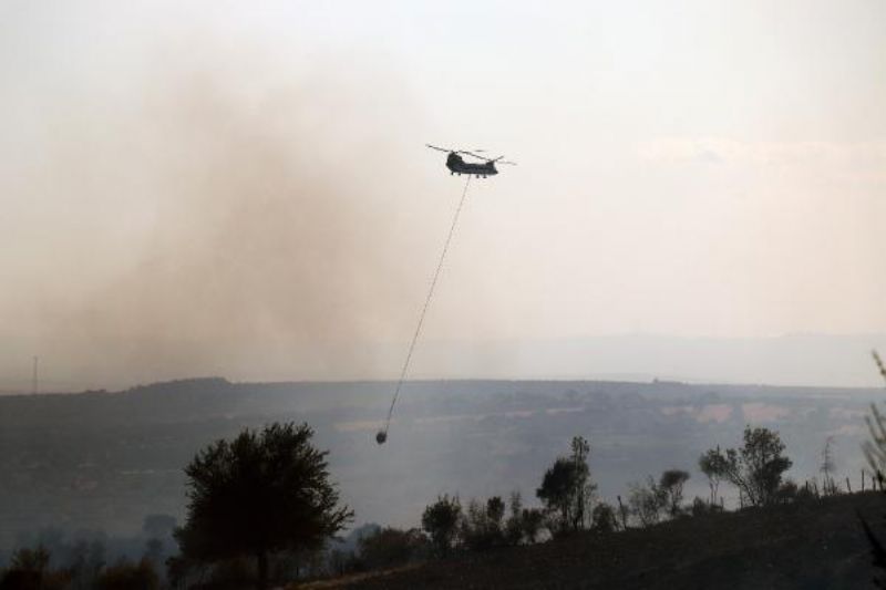 Bayramiç'te Orman Yangını