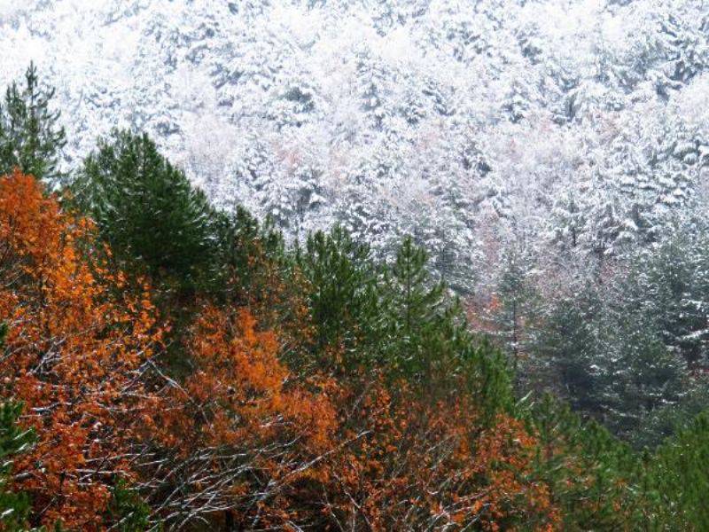 Kaz Dağları, Karla Bir Başka Güzel