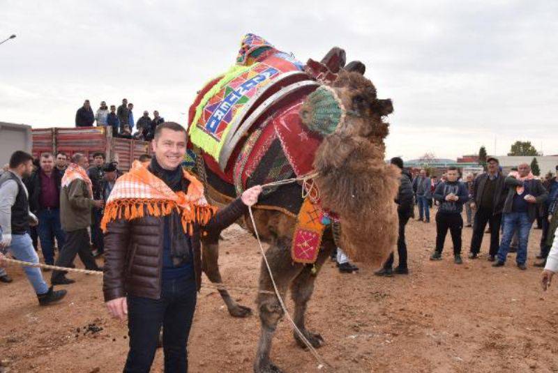 Çan'da Develere Havut Giydirildi