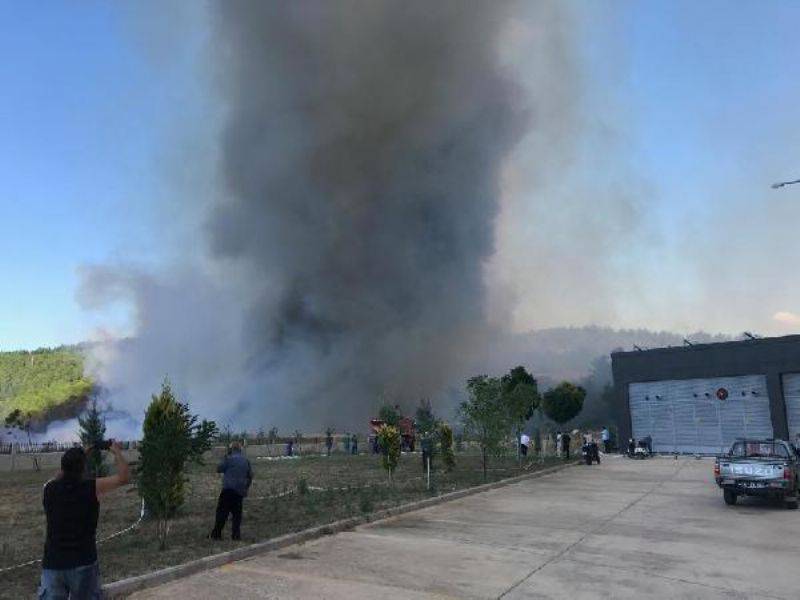 Çanakkale'de Orman Yangını