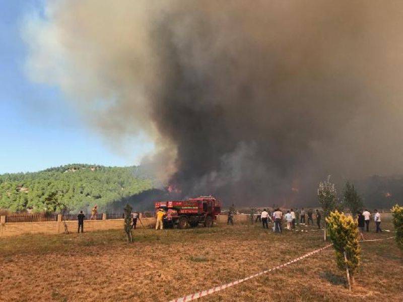 Çanakkale'de Orman Yangını