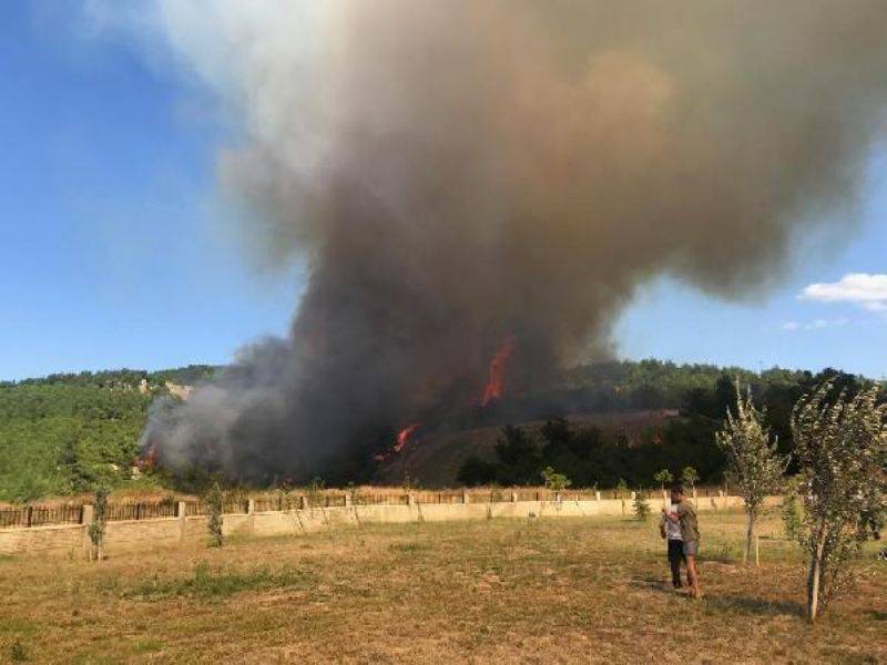 Çanakkale'de Orman Yangını