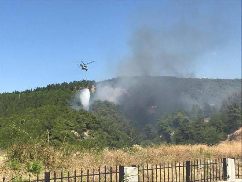 Çanakkale'de Orman Yangını