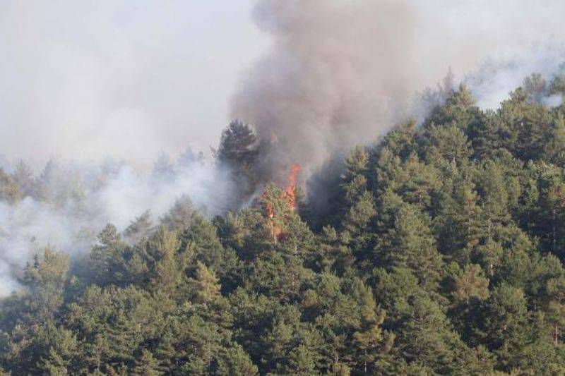 Yenice'de Orman Yangını