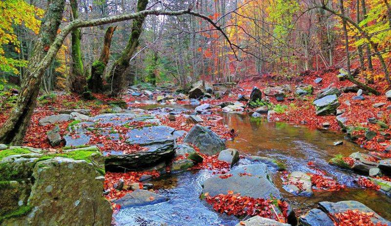 Kaz Dağları’nda Sonbahar Güzelliği