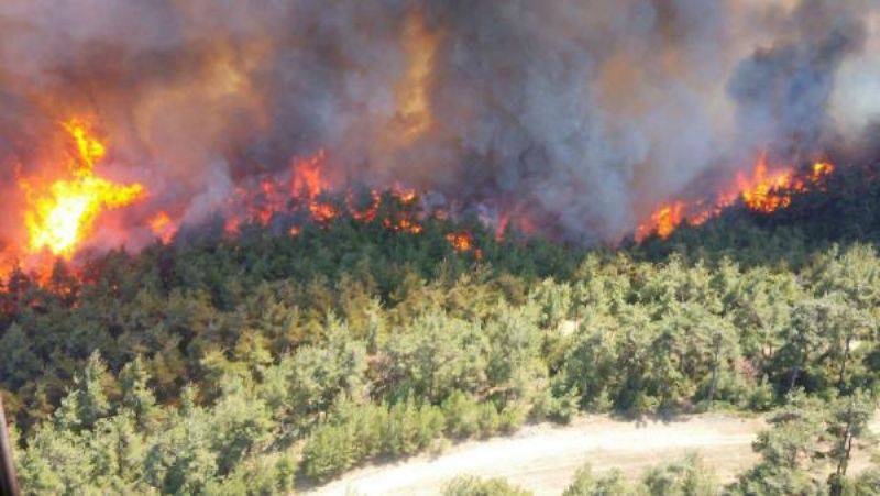 Çanakkale'de Orman Yangını