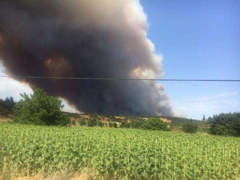 Çanakkale'de Orman Yangını