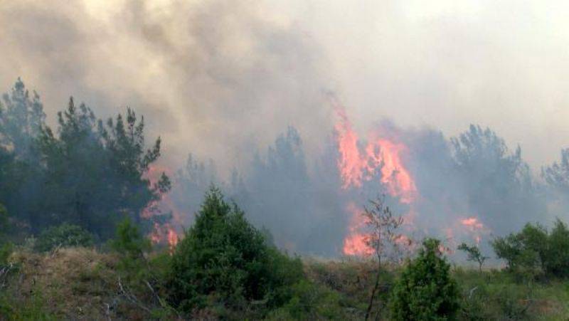 Çanakkale'de Orman Yangını