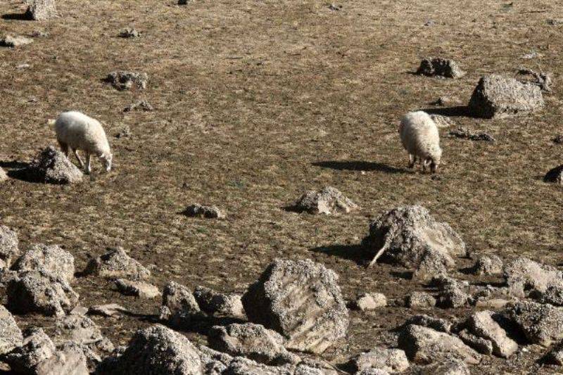 Çanakkale'de Baraj Boşaldı, Su Kullanımıyla İlgili Yasaklar Geldi