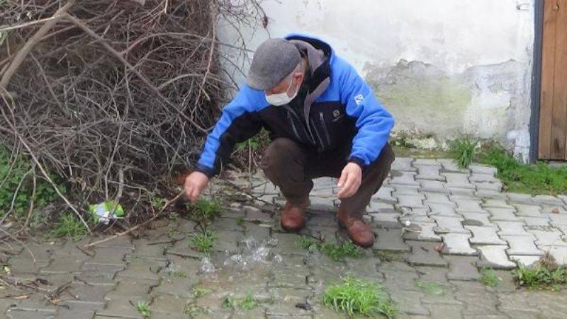 Kazdağları Eteklerindeki Köyün Her Yerinden Su Çıkıyor