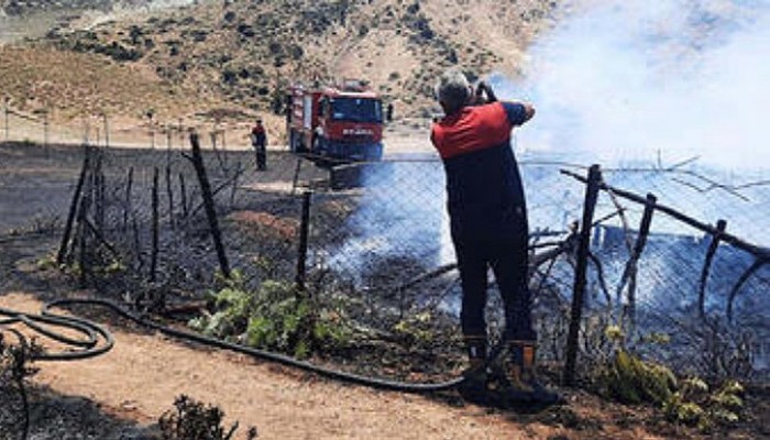 Gelibolu'da Ağılda Yangın; 150 Oğlak Öldü