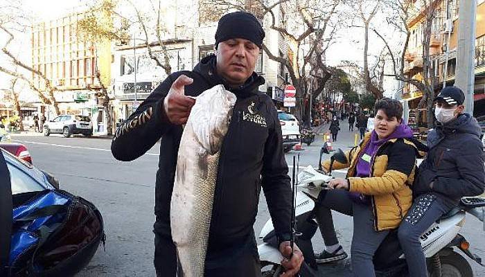 Amatör Balıkçı, 6 Kilo 380 Gram Ağırlığında Levrek Avladı