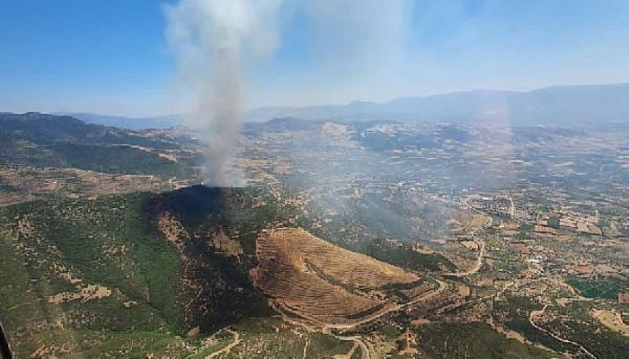 Biga'da Orman Yangını