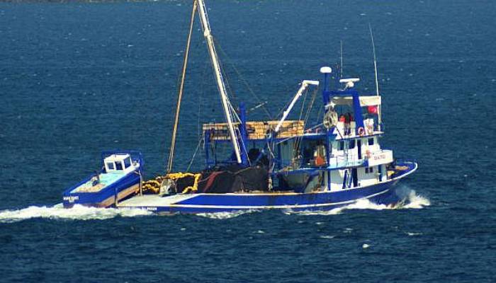 Çanakkale Boğazı'nda Balıkçılar İlk Gün Umduğunu Bulamadı