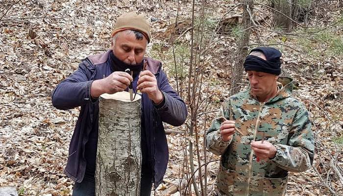 “Çanakkale'mizde Kestane Üretimini Arttıracağız” 