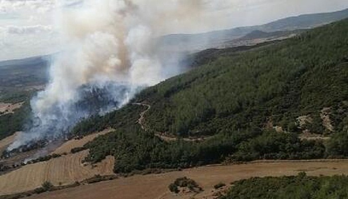 Gelibolu'da Orman Yangını 