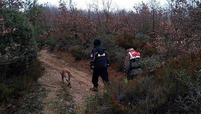 Mantar Toplamaya Çıkıp, Kaybolan Kadın Bulundu