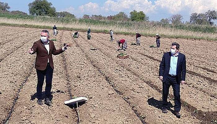 Vali Tavlı'dan Çiftçiye Tam Destek