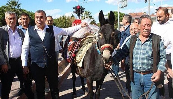 Güreş Ağası, 1 Milyon 17 Bin TL Ağalık Parasını Katırla Taşıdı