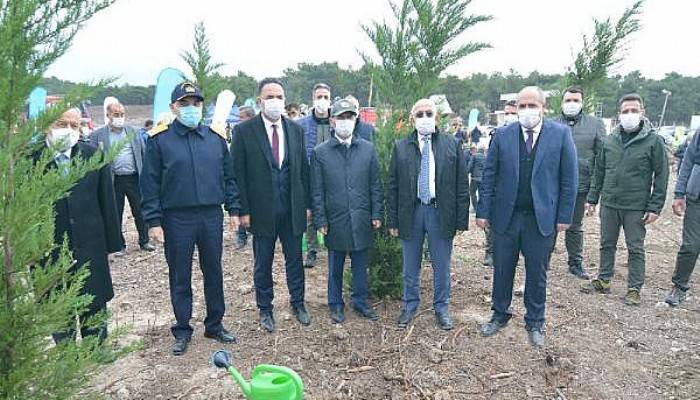 Çanakkale'de 21 Bin 440 Fidan Dikildi