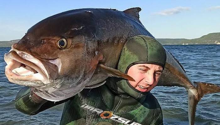 Zıpkınla 58 Kilo Ağırlığında, 1 Metre 80 Santim Boyunda Akya Avladı